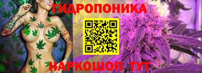 гидропоника Новокубанск
