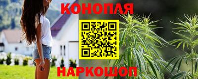 гидропоника Новокубанск