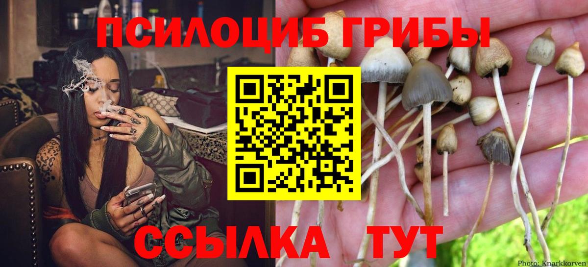 Псилоцибиновые грибы Magic Shrooms Геленджик