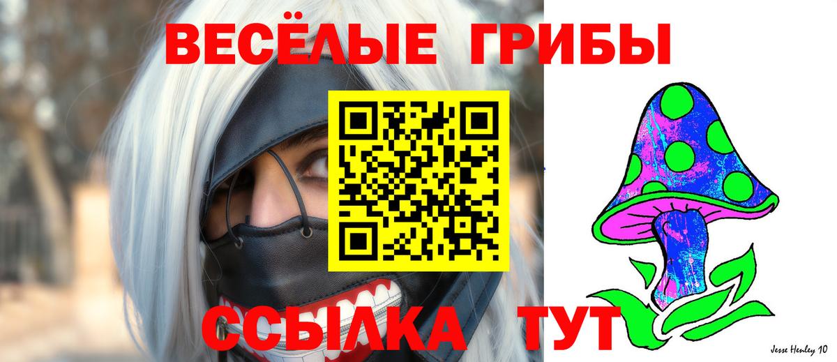 Галлюциногенные грибы MAGIC MUSHROOMS  Вход с VPN  Геленджик 